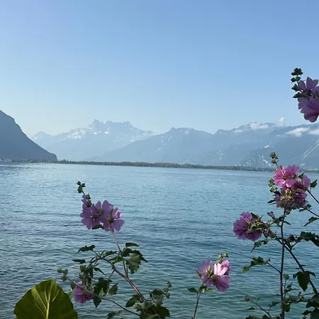 Stunning 2 Bedroom Geneva Appartement Montreux