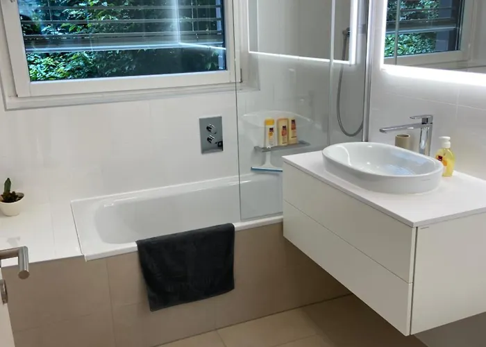 Stunning 2 Bedroom Geneva Appartement Montreux