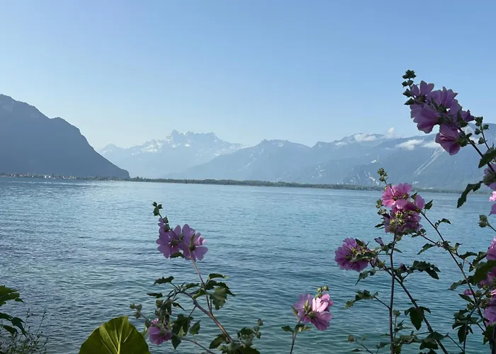 Stunning 2 Bedroom Geneva Апартаменты Монтрё